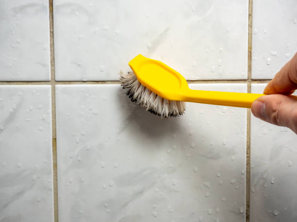 Best Best Mold Removal Companies  in Poway, CA