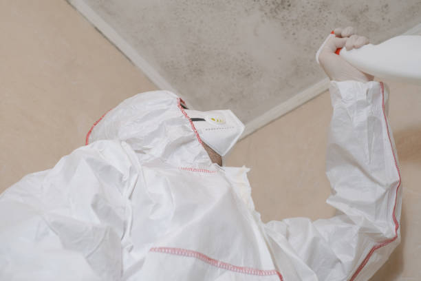 Best Mold Removal Process  in Poway, CA