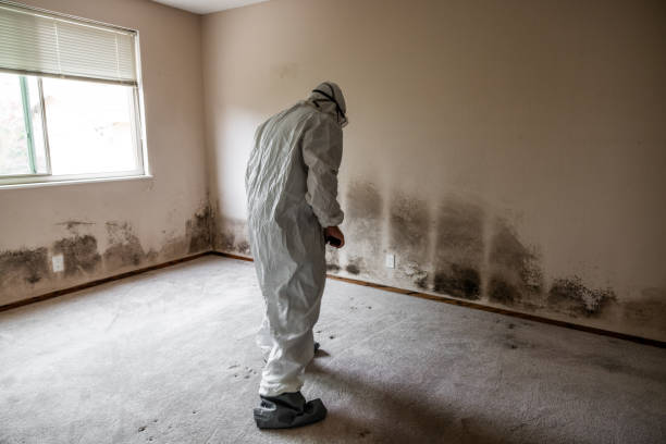 Best Crawl Space Mold Removal  in Poway, CA